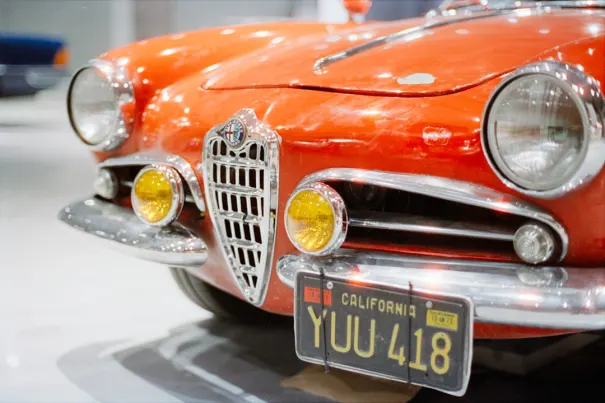 팻벳 카지노 안드로이드/iOS 앱